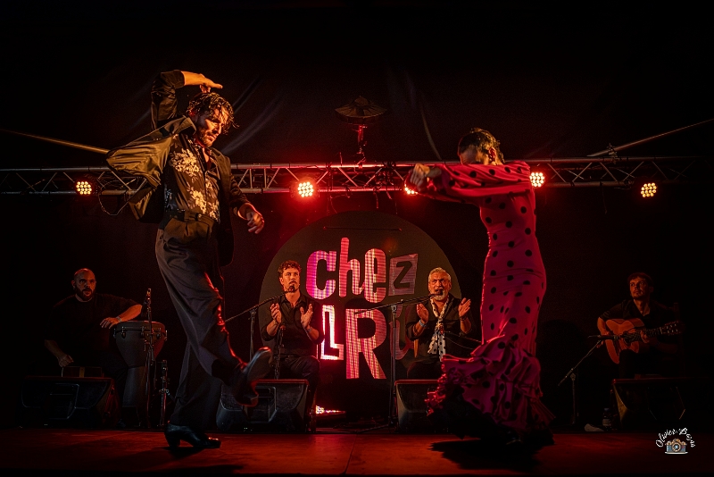 flamenco (68)
